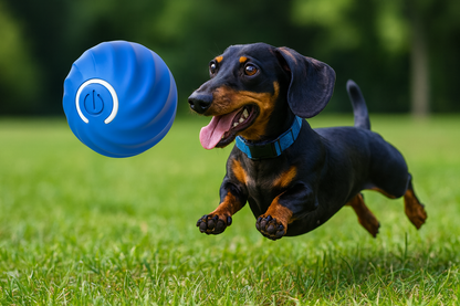 ZoomiBall™ — Smart Pet Ball by Coriara