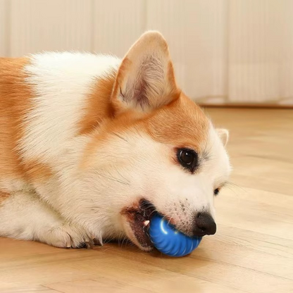 ZoomiBall™ — Smart Pet Ball by Coriara