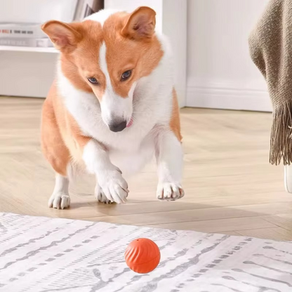 ZoomiBall™ — Smart Pet Ball by Coriara